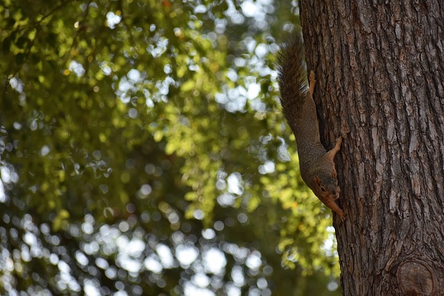 利扎拉祖：我完全理解德尚让姆巴佩轮休，这样安排是双赢