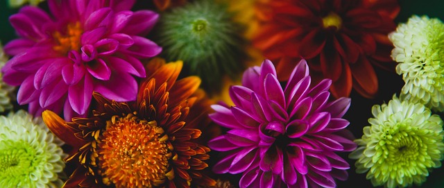 之所以被誉 之所以被誉