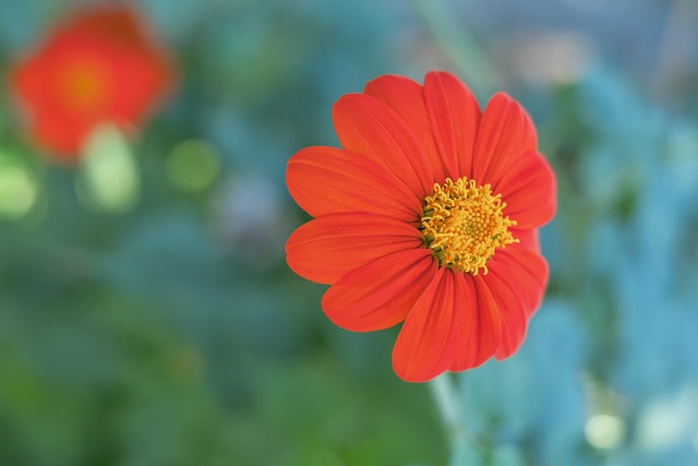 业树立了行 业树立了行