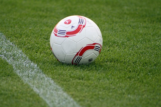 在荷甲中的 在荷甲中的